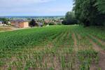 Grundstück Holzheim Eppisburg - 485.000&euro; | Angebot:25668362
