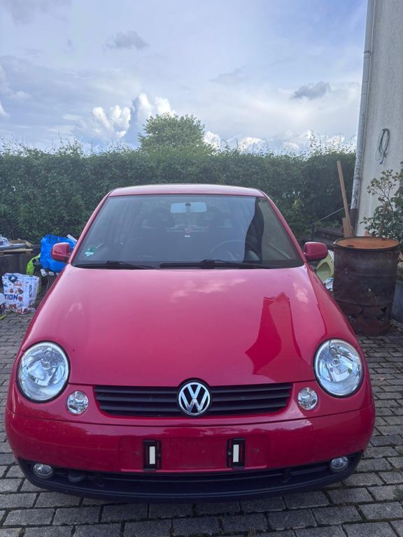 Lupo