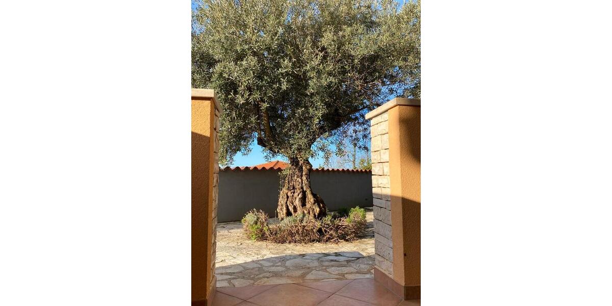 Ferienimmobilie Frankfurt am Main Oberrad - 240&euro; | Angebot:26481356