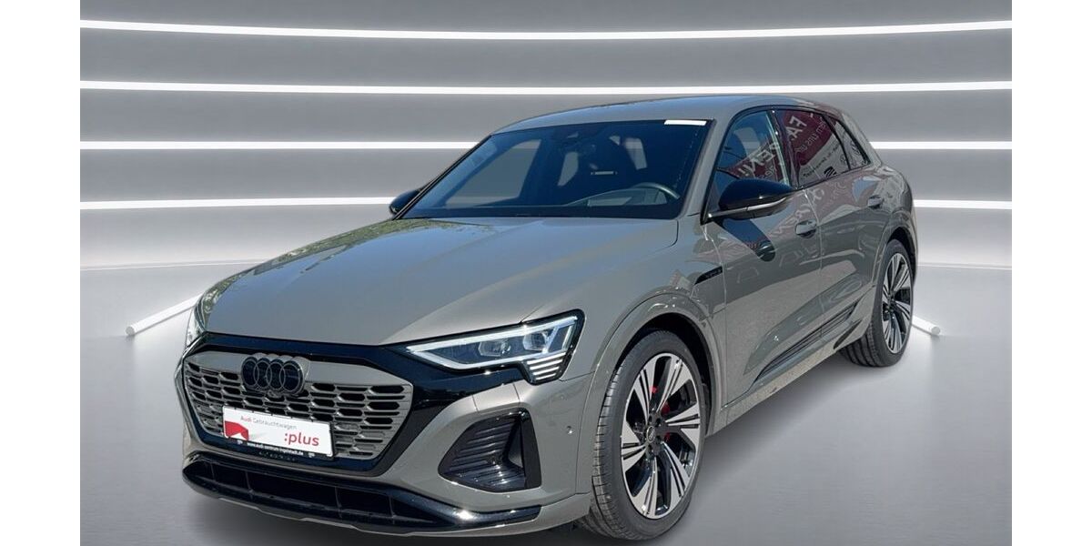 Audi Q8 e-tron 28.240 km 47.890 &euro; Ingolstadt 85057