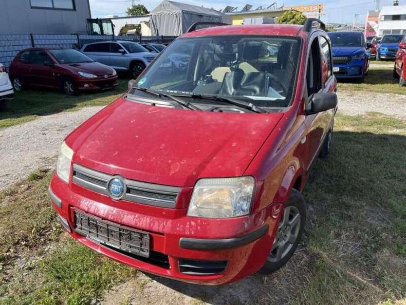 Panda