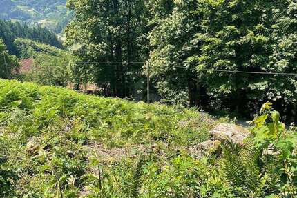 Grundstück Ottenhöfen im Schwarzwald - 135.000&euro; | Angebot:25549275