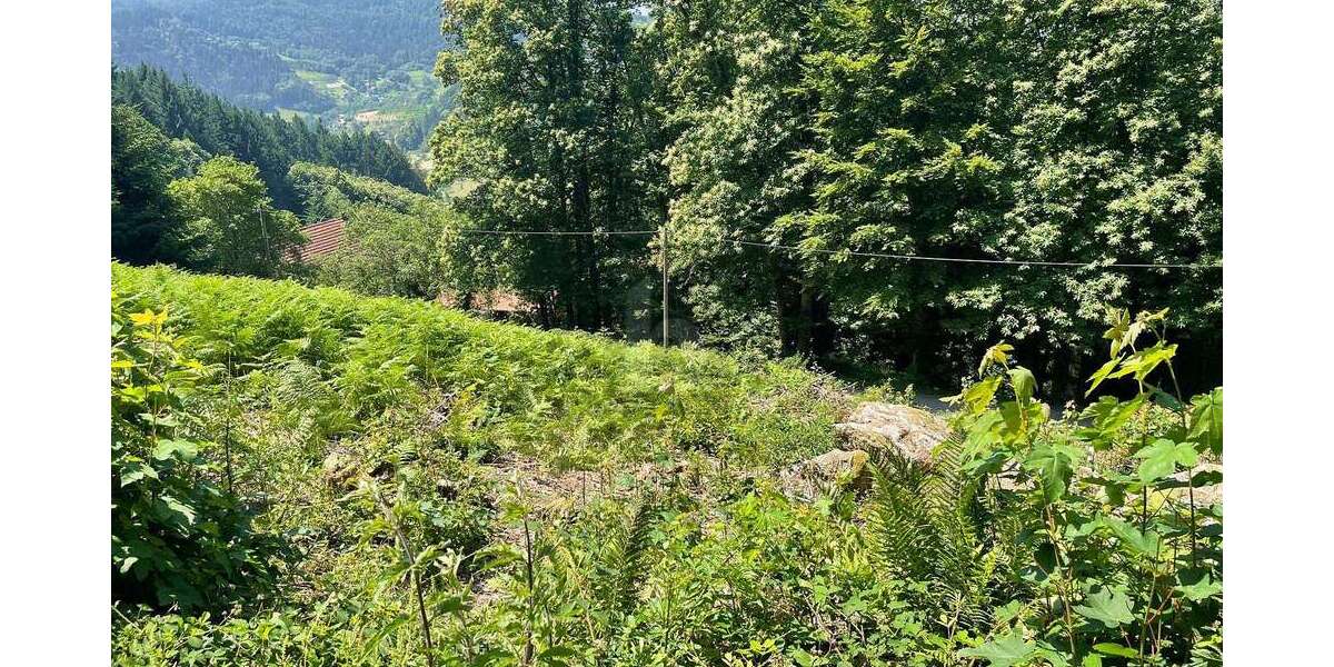 Grundstück Ottenhöfen im Schwarzwald - 135.000&euro; | Angebot:25549275