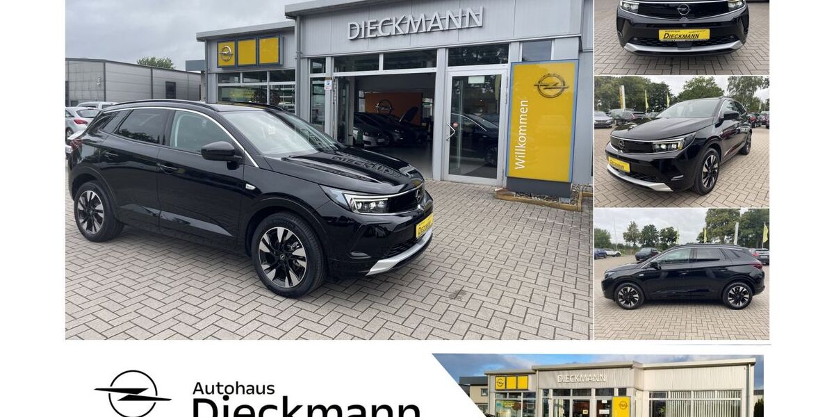 Opel Grandland (X) 15.693 km 24.880 &euro; Worpswede 27726