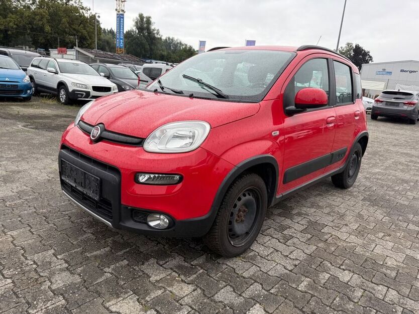 Panda
