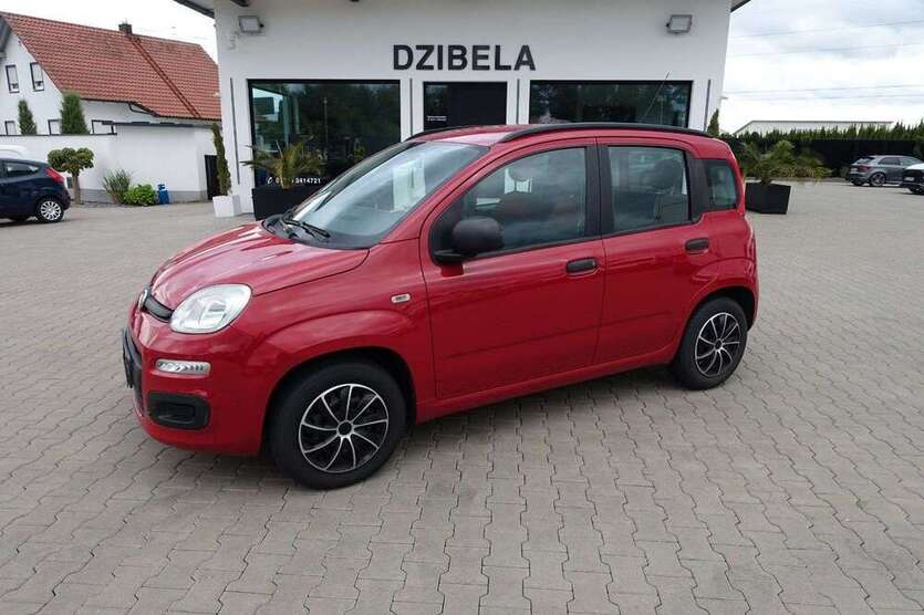 Panda