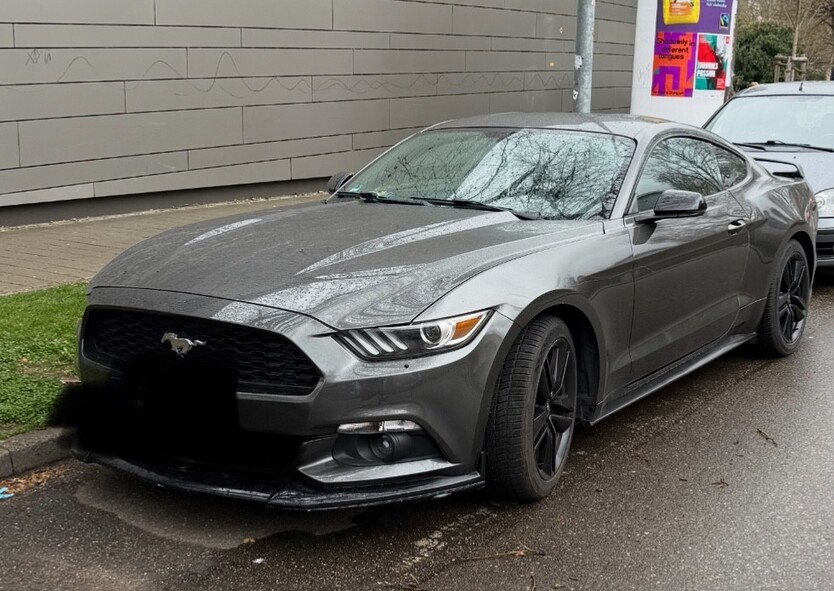Mustang