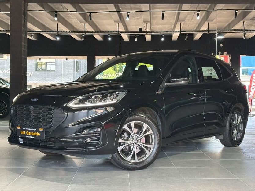 Kuga