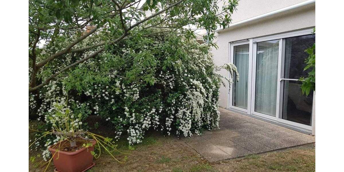 Reihenendhaus Weinböhla - 5 Zimmer, 120 m&sup2;, 530.000&euro; | Angebot:25667118