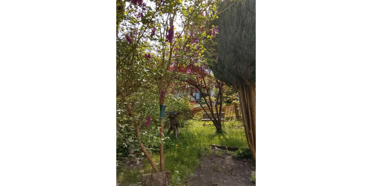 Doppelhaushälfte Arzberg - 1 Zimmer, 90 m&sup2;, 70.000&euro; | Angebot:26535126