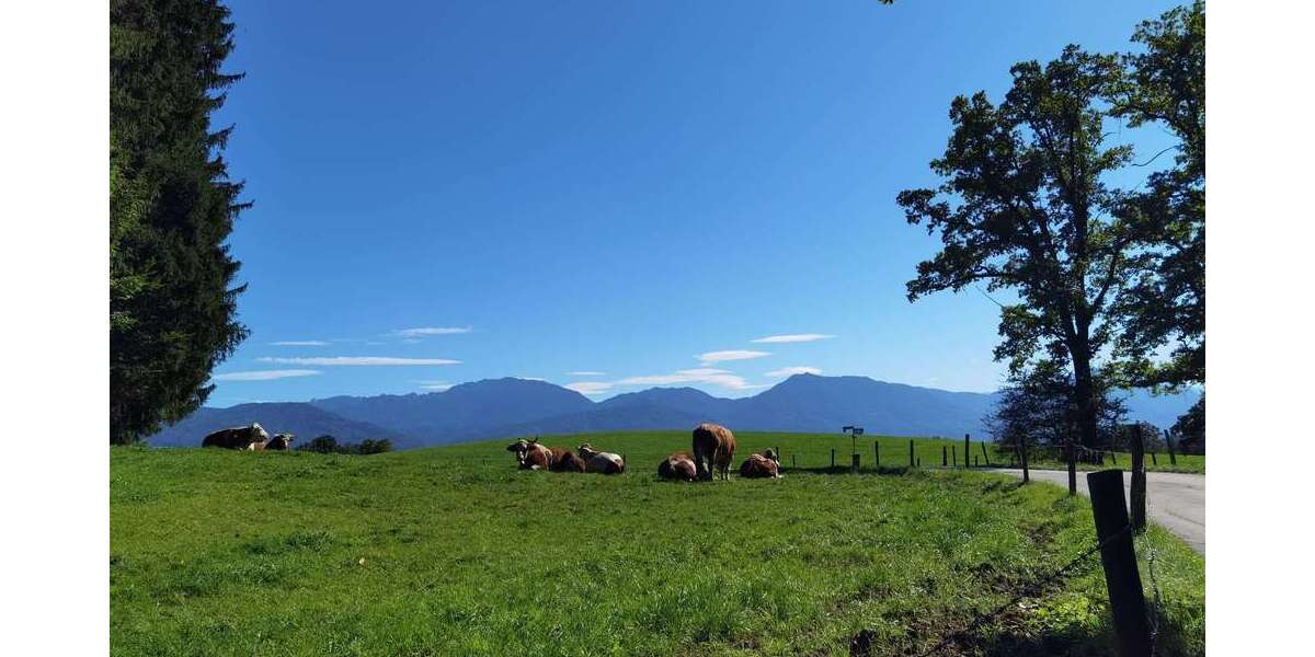 Einfamilienhaus Penzberg - 6 Zimmer, 215 m&sup2;, 2.600.000&euro; | Angebot:25281627