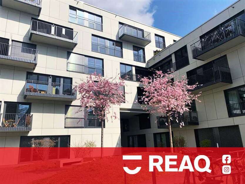 Wohnung zum Mieten in Aachen 388 € 24.25 m²