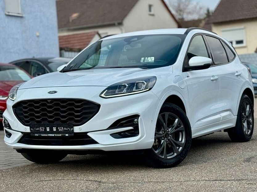 Kuga
