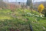 Grundstück Winnenden - 200&euro; | Angebot:26359022