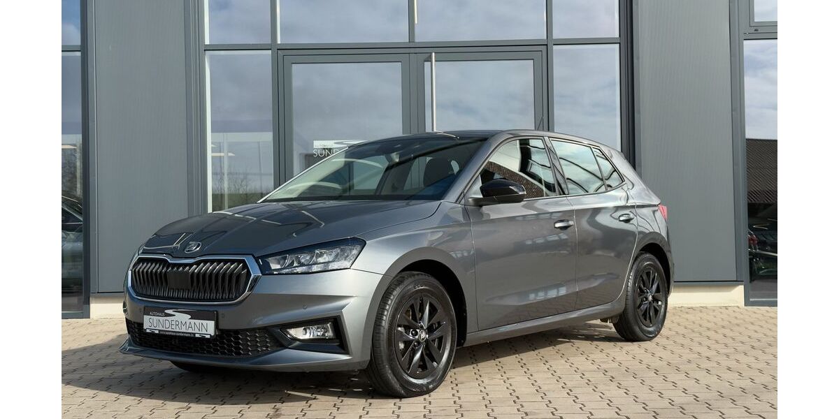 Skoda Fabia 16.434 km 18.290 &euro; Heek 48619