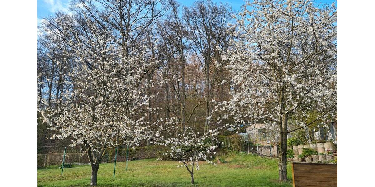Mehrfamilienhaus, Wohnhaus Schieder-Schwalenberg Schwalenberg - 239.000&euro; | Angebot:26978865