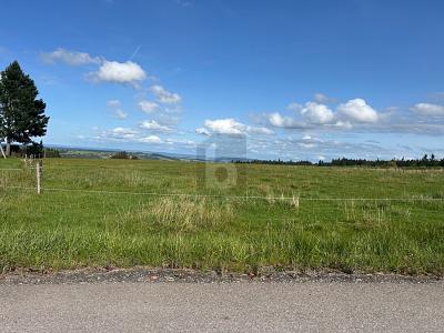 FAMILIEN MIT KLEINEN KINDERN AUFGEPASST! - Grundstück Bonndorf im Schwarzwald | Angebot:26176237