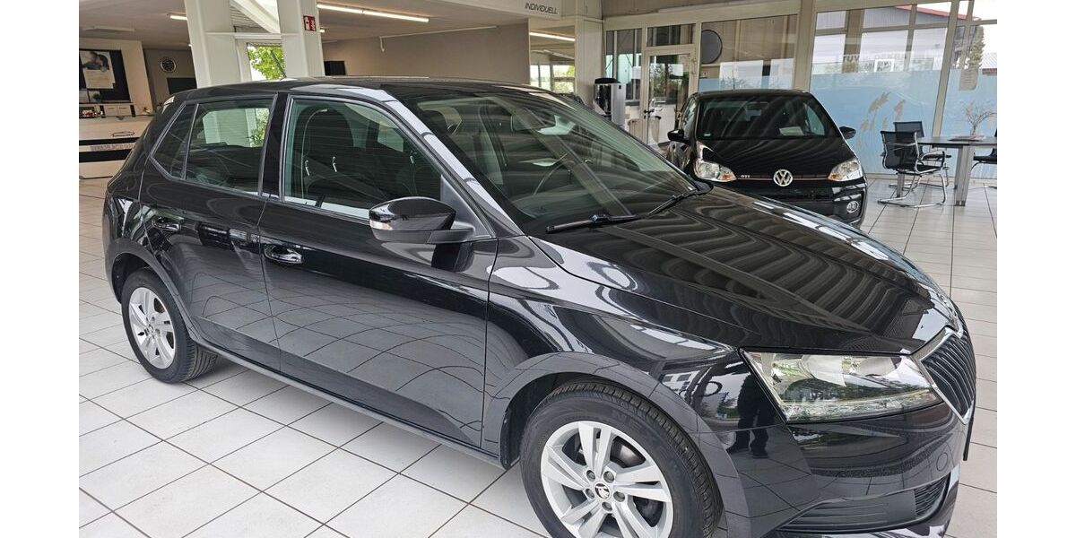 Skoda Fabia 56.000 km 9.990 &euro; Berghülen 89180