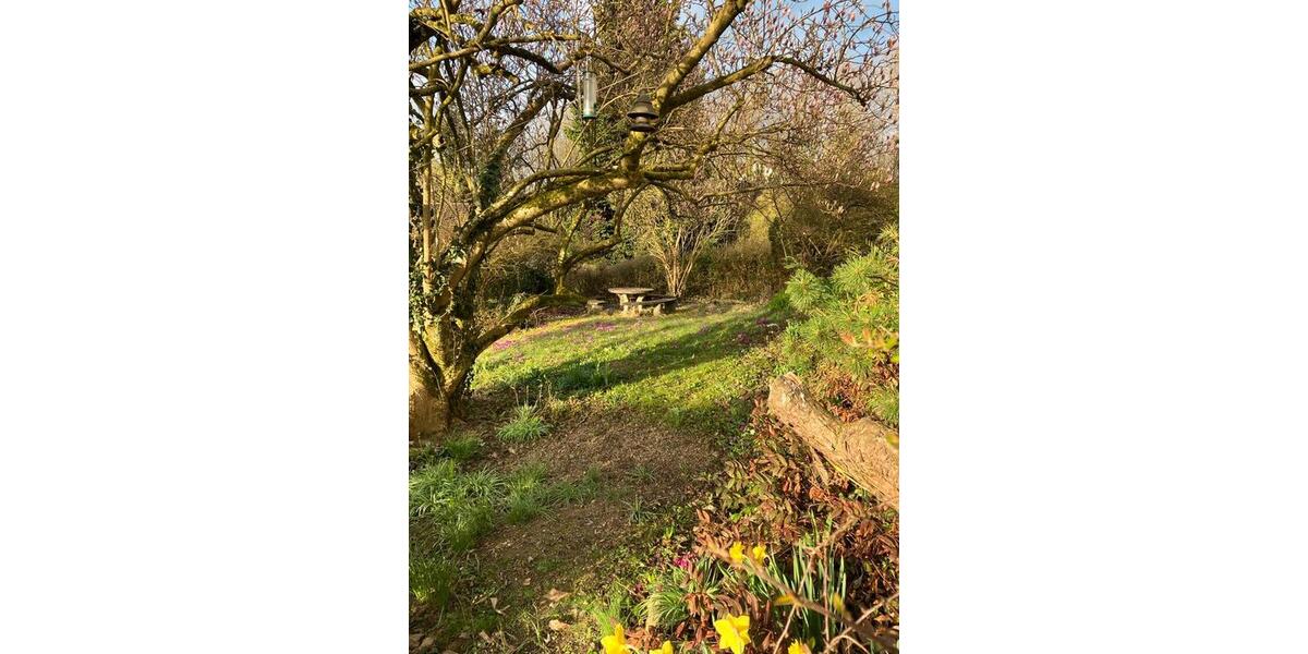 Einfamilienhaus Pfarrkirchen - 8 Zimmer, 184 m&sup2;, 529.000&euro; | Angebot:26545598