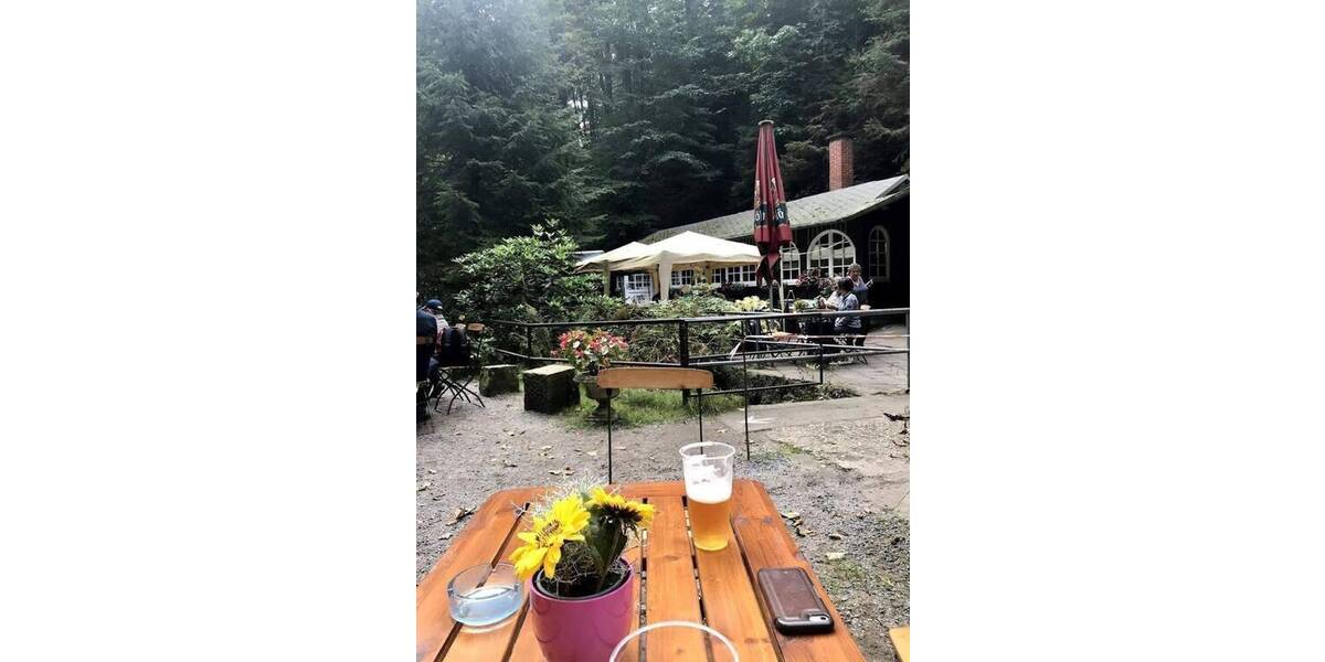 Gewerbeobjekt Lohmen Uttewalde - 299.000&euro; | Angebot:26851182