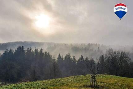 Haus Bonndorf Brunnadern - 1 Zimmer, 225 m&sup2;, 890.000&euro; | Angebot:23852140