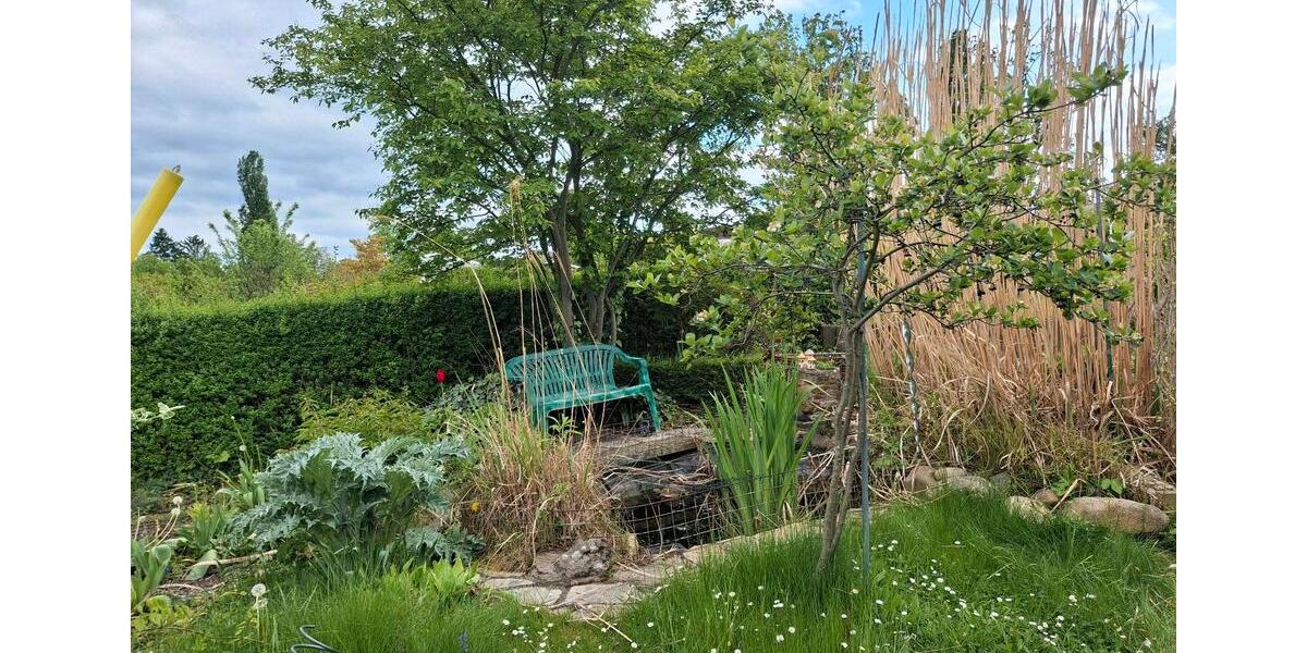 Grundstück Dresden Blasewitz - 3.900&euro; | Angebot:26694223