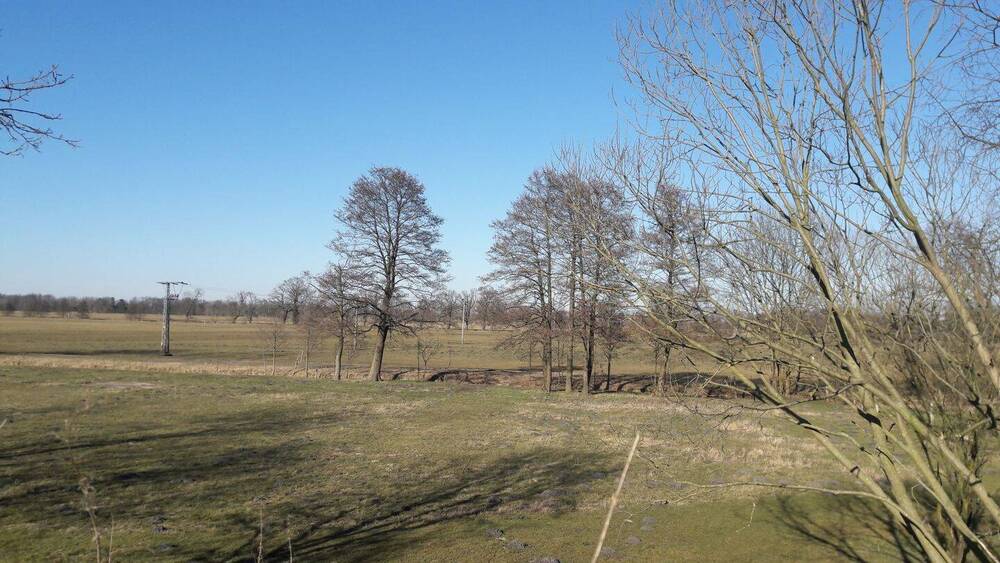 Grundstück Fehrbellin Brunne - 170.000&euro; | Angebot:21931167