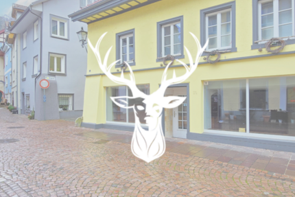 Einzelhandel in Waldshut-Tiengen 980 € 86 m² zimmer