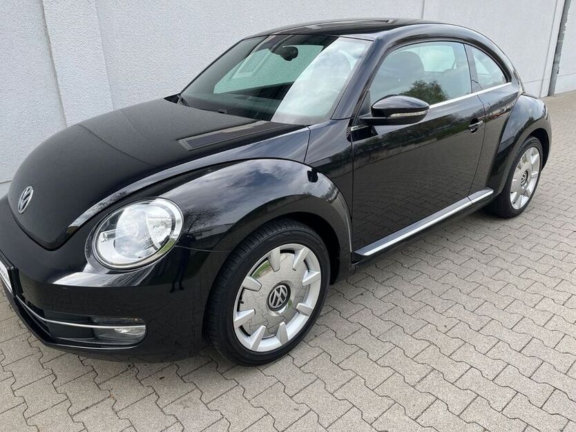 Beetle