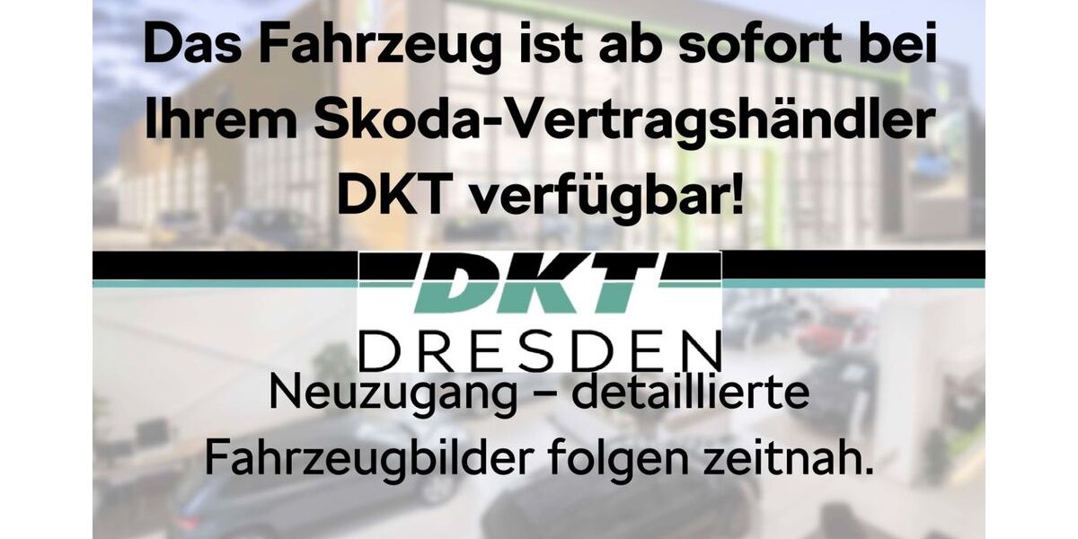 Skoda Kamiq 2.500 km 31.500 &euro; Dresden 01237