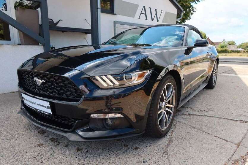 Mustang