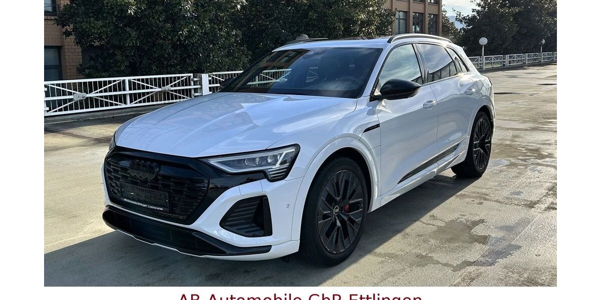 Audi Q8 e-tron 42.797 km 55.900 &euro; Ettlingen 76275