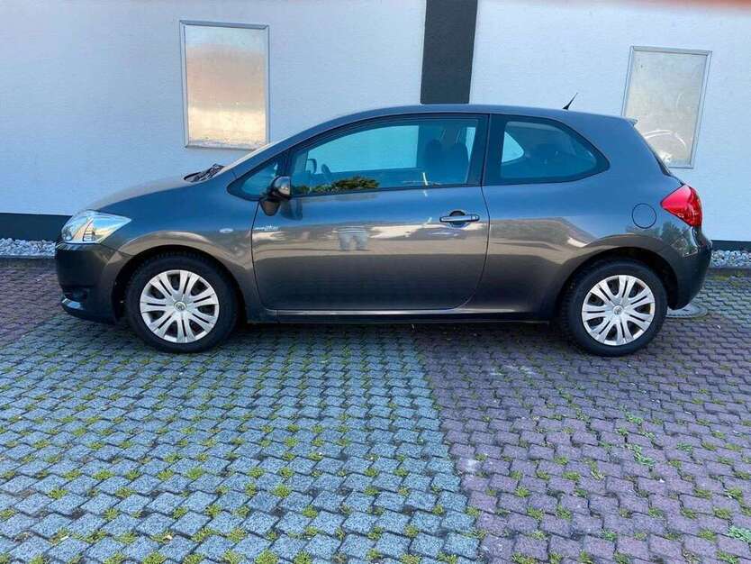 Auris