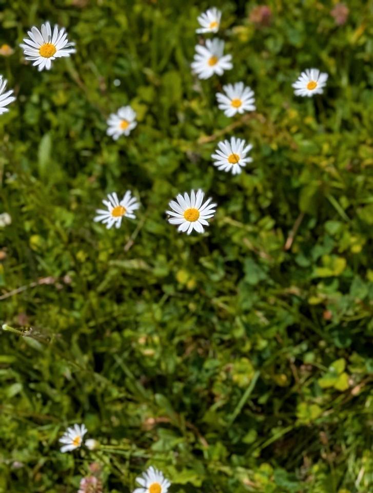 4 Zimmer Eigentumswohnung zimmer