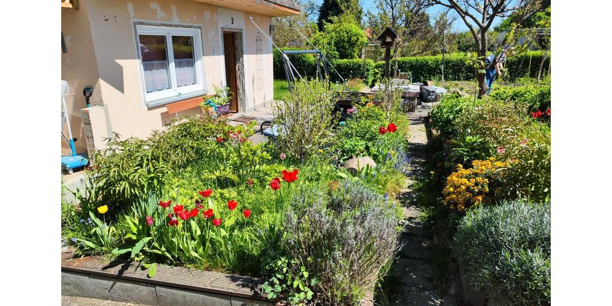 Grundstück Dresden Cotta - 4.000&euro; | Angebot:26539846