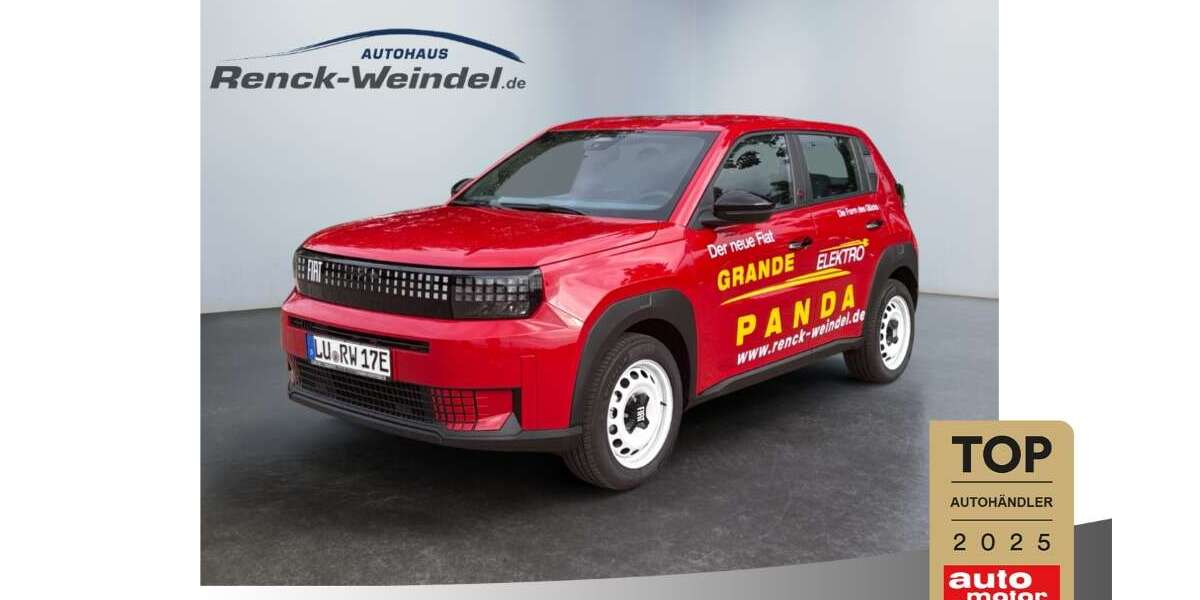 Fiat Grande Panda 2.818 km 22.989 &euro; Ludwigshafen 67071