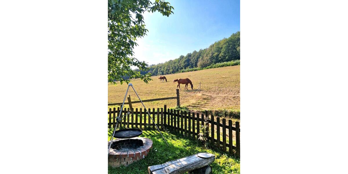 Einfamilienhaus Birkenfeld - 11 Zimmer, 350 m&sup2;, 849.000&euro; | Angebot:27145824