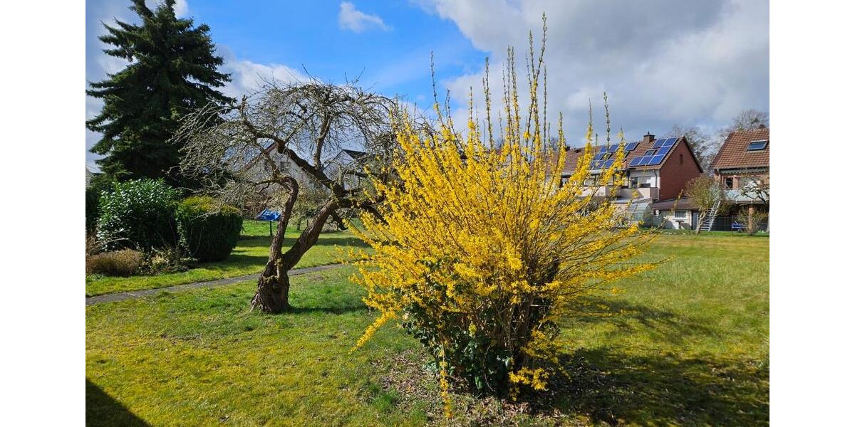 Einfamilienhaus Büren - 7 Zimmer, 160 m&sup2;, 298.000&euro; | Angebot:25861538