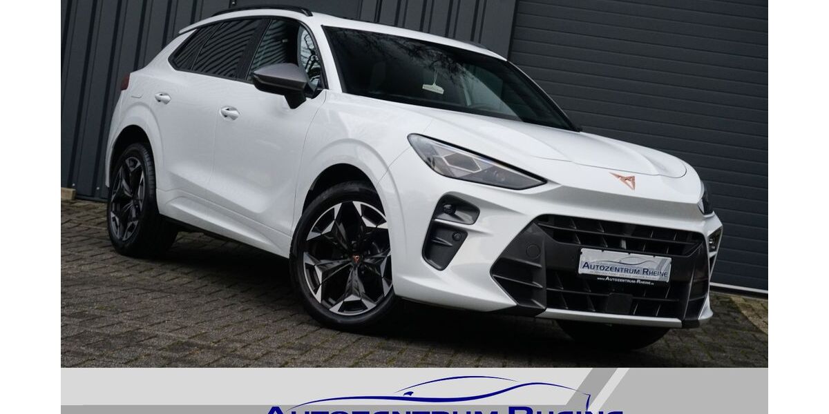 Cupra Terramar 11.172 km 39.444 &euro; Rheine 48432