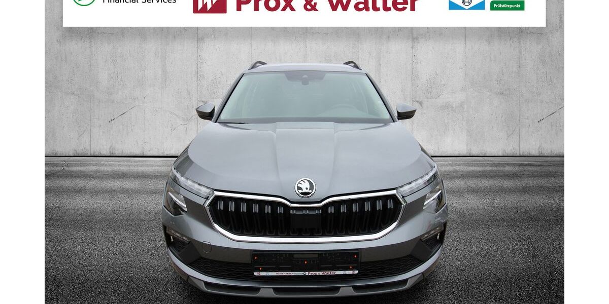 Skoda Kamiq 20.553 km 18.900 &euro; Hagenow 19230