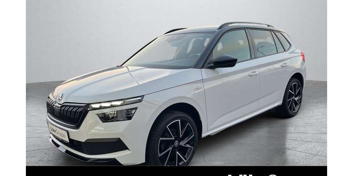 Skoda Kamiq 41.707 km 21.580 &euro; Daun 54550