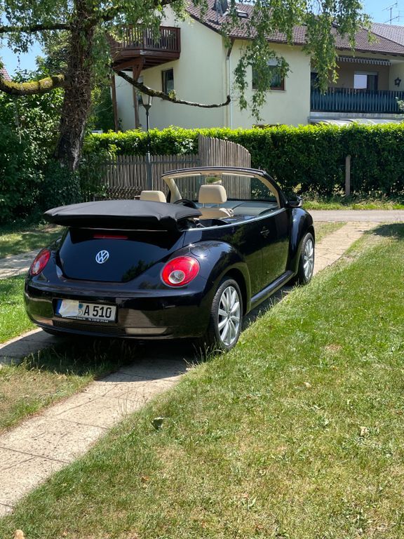 Beetle