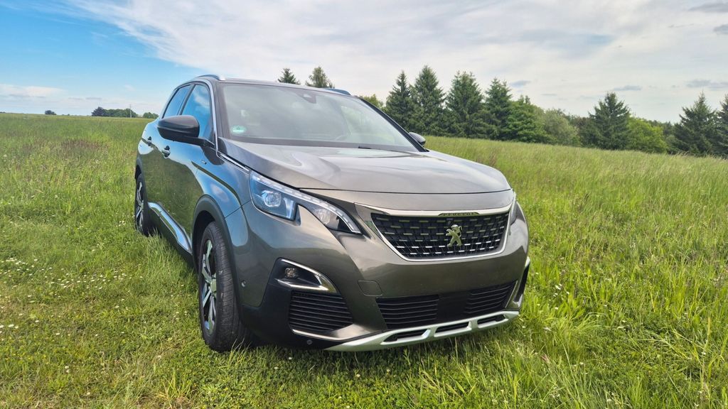 Peugeot 3008 113.338 km 13.500 &euro; Hermsdorf 07629