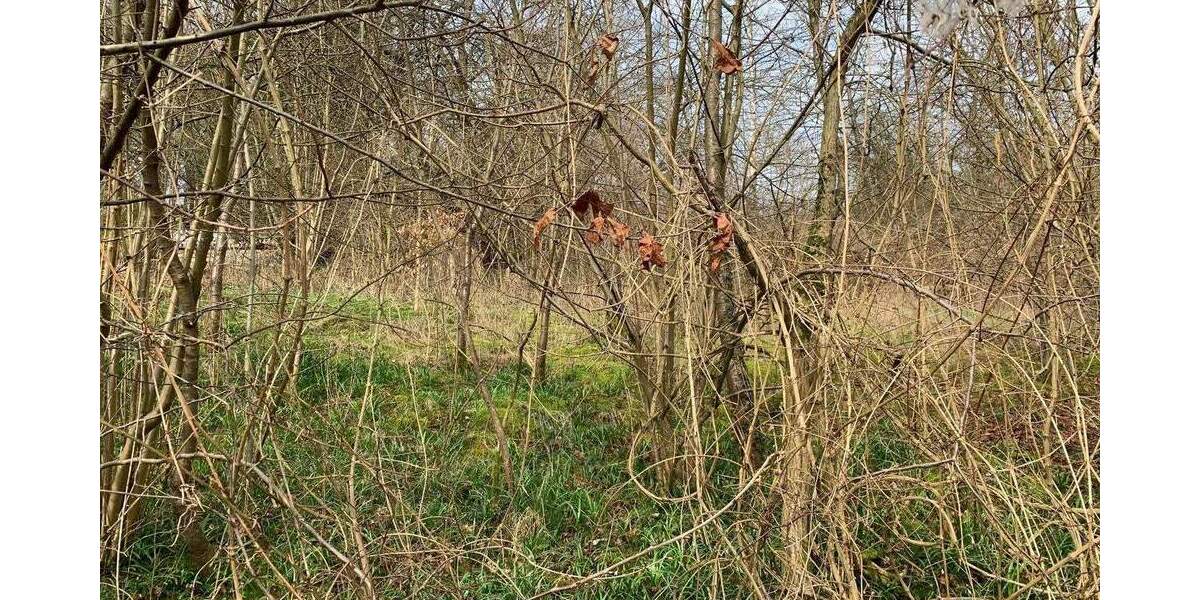 Baugrundstück in idyllischer und exponierter Randlage! zimmer