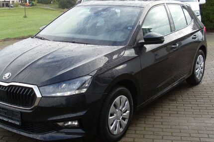 Skoda Fabia 30.100 km 14.100 &euro; Waldheim 04736