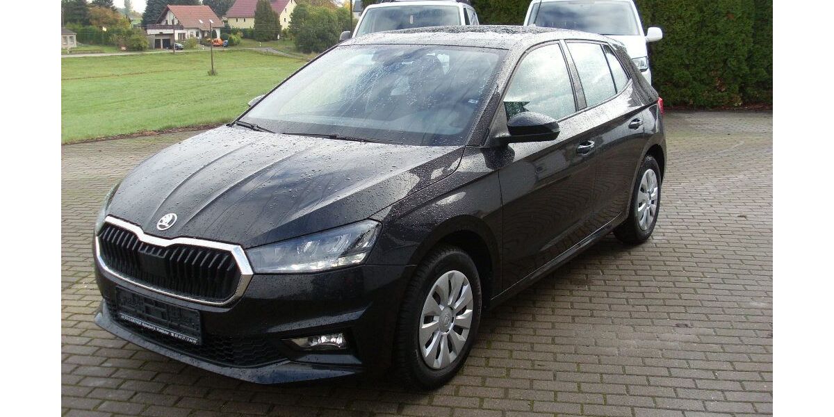 Skoda Fabia 30.100 km 14.200 € Waldheim 04736