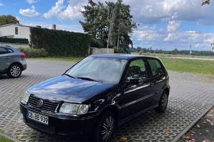 VW Polo 128.570 km 2.500 &euro; Peitz 03185