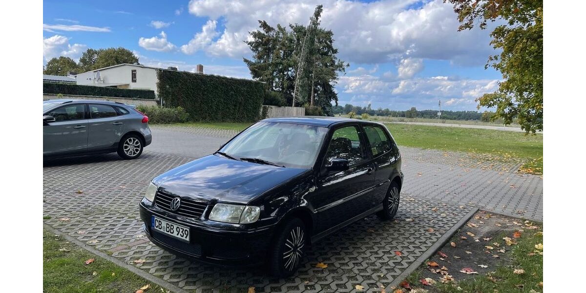 VW Polo 128.570 km 2.500 &euro; Peitz 03185