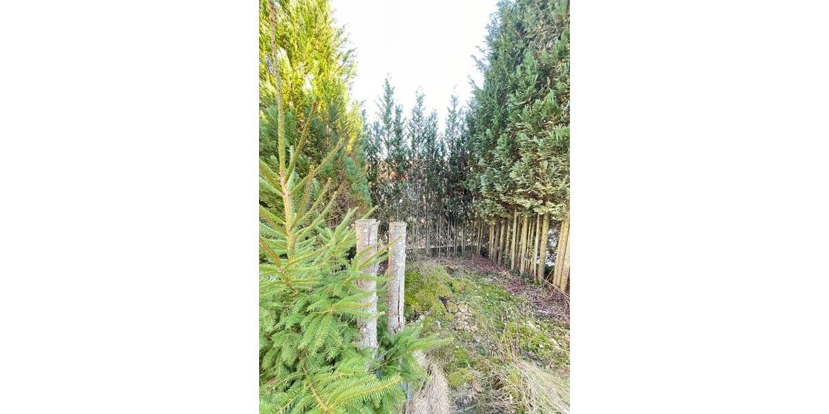 Einfamilienhaus Nohfelden - 6 Zimmer, 134 m&sup2;, 82.500&euro; | Angebot:26635260