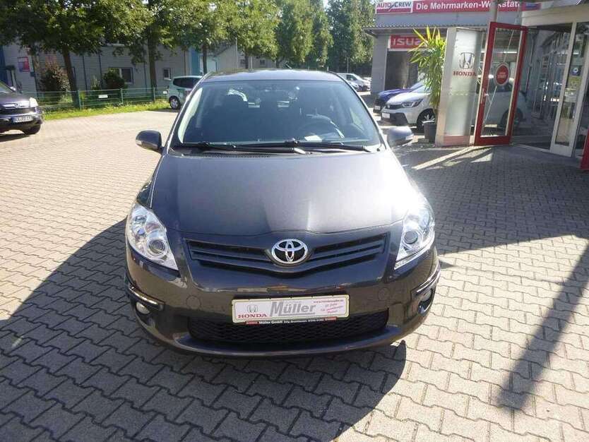 Auris